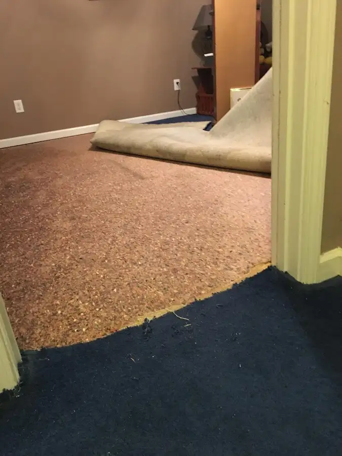 Carpet pad removal revealing water damage during Drying & Dehumidification in Bayshore Gardens