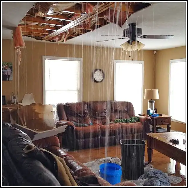 Water Damage Restoration services in Bayshore Gardens, FL