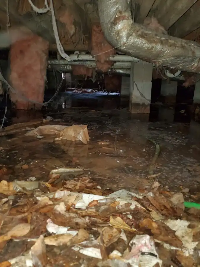 Crawl space flood assessment for Commercial Water Damage Restoration in Bayshore Gardens