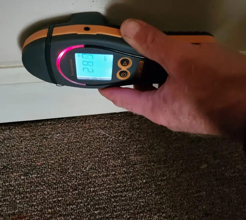 Moisture detection at baseboard during Burst Pipe Cleanup in Bayshore Gardens